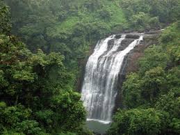 ashoka waterfall
